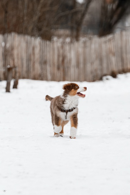 0A8A9473 Modifier Moyenne